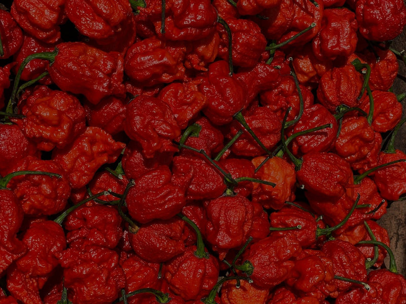 Where did the name Carolina Reaper come from? - Reaper Robs